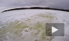 Пограничники и спасатели "насобирали" 19 рыбаков на льдинах в Финском заливе