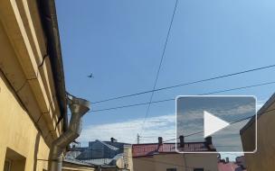 Репетиция воздушной части парада Победы в Петербурге 