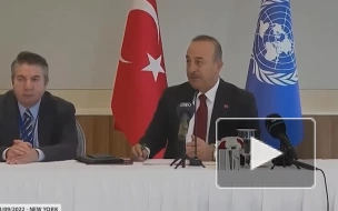 Турция выступила за отмену права вето в Совбезе ООН