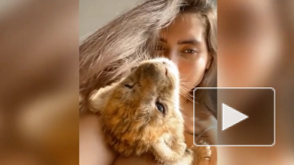 Модель арестовали за содержание льва и питона в домашних условиях