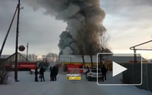МЧС назвало возможную причину пожара под Новосибирском