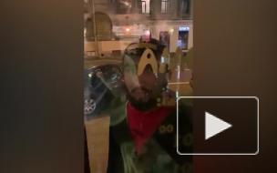 Видео: мужчина разбил дверь пиццерии на Загородном ...