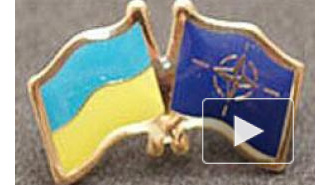 Новости Украины: пока Порошенко хочет мира, истинные патриоты хотят в НАТО