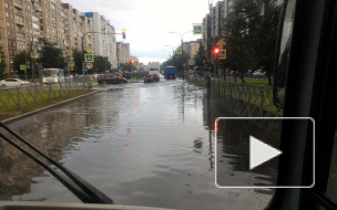 Несколько районов Петербурга подтопило из-за дождя