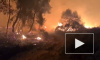 В Греции третьи сутки тушат лесной пожар к западу от Афин