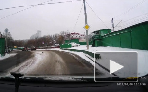 Любовь к ласкам.