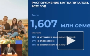 Жители новых регионов получили 70 тыс. сертификатов на маткапитал