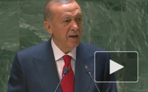 Эрдоган призвал мировое сообщество признать независимость Северного Кипра