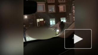 В Мурино жители заметили бегавшего по двору обнаженного мужчину