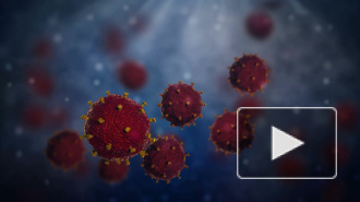 Китайские ученые рассказали о мутациях коронавируса