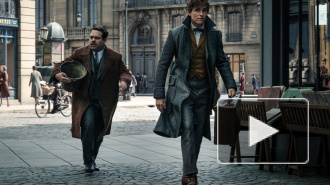 Съемки третьей части "Фантастических тварей" вновь перенесли