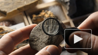 В Канаде обнаружили окаменелого "жнеца смерти"