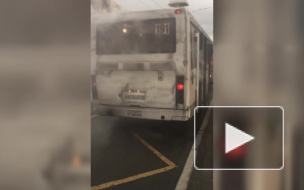 Видео: на проспекте Большевиков задымился автобус 