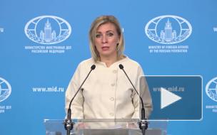 Захарова назвала неподобающим поведение спецдокладчиков ООН по делу Навального