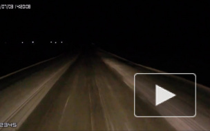 Лошадки на трассе Чебаркуль - Магнитогорск.