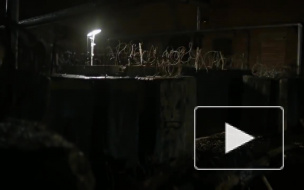 Вышел трейлер финального сезона сериала "Готэм"