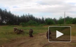 Новости часа: 13 октября, 13.00