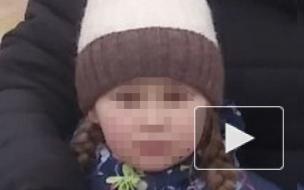 Пропавшую в Нижегородской области девятилетнюю девочку нашли мертвой