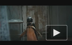 Жан Рено обретает необычного друга в трейлере фильма "Мой пингвин"