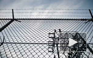 СК завершил расследование о нарушениях в амурской колонии 