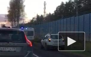 В массовой аварии на Зеленогорском шоссе пострадали шесть человек