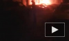 Видео: ночью в Кировском районе сгорел дорогой BMW
