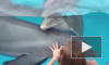 Видео из США: Маленькая девочка нашла способ приманивать к себе дельфинов