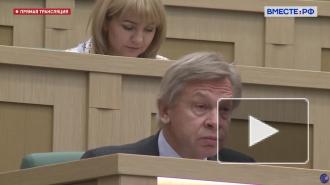 В Совфеде 21 января обсудят с экспертами тему борьбы с треш-стримами
