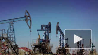 Ирак, Кувейт и ОАЭ снизили цену на нефть вслед за Саудовской Аравией