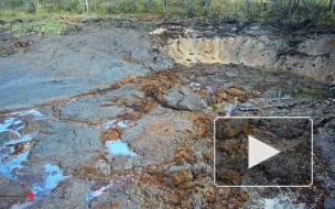 Видео: во Владимирской области целое озеро с рыбой и водорослями ушло под землю