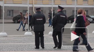 В Петербурге накрыли банду кавказцев, грабивших микрофинансовые организации