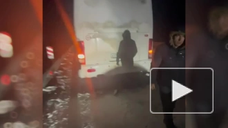 Автобус с россиянами сломался на трассе в Казахстане