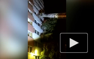 Петербуржцы вызвали спасателей, услышав детский крик о помощи