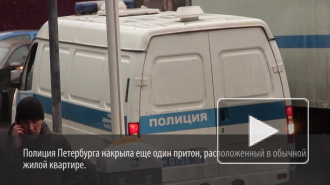 На задворках Московского проспекта полиция поймала двух недорогих проституток