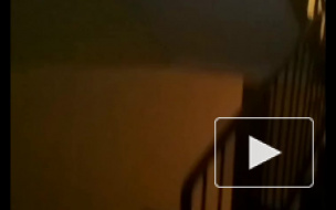 Видео: На Тельмана засоренный ливнесток стал причиной потопа в подъезде
