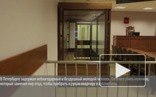 Полиция хитрым способом поймала 21-летнего петербуржца, который заказал киллеру отчима
