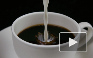 Ученые назвали напиток, который предотвращает старение 