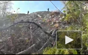 Опубликовано видео с места убийства 16-летней школьницы в Адыгее, которая пропала в мае по дороге из школы