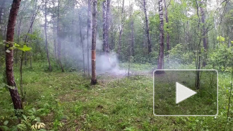 СМИ: На Синявинских высотах после взрыва образовалась воронка два на два метра. Погиб человек