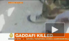 Путин осудил телеканалы, показавшие кадры расправы над Каддафи