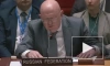 Небензя: РФ не преследовала цель уничтожения государственности и деукраинизации Украины