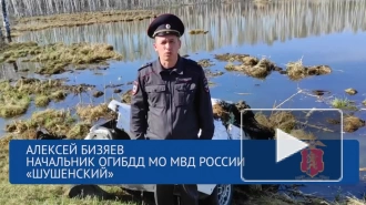 В Красноярском крае пять человек погибли при падении автомобиля в водоем