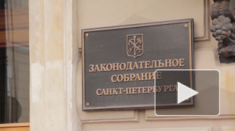 Депутаты нашли "глупейшие ошибки" в исполнении бюджета Петербурга в 2016, но одобрили отчет о нем