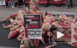 Петербургские защитники животных "освежевали" десятки людей