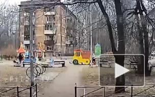 Стала известна причина, по которой женщина вырвала волосы подростку на площадке на Гражданском проспекте