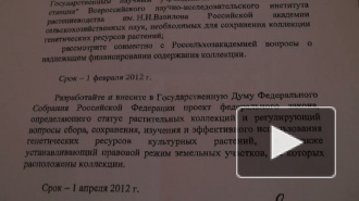 Коллекцию Вавилова будут спасать под контролем президента Медведева
