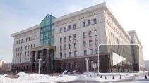 Суд оправдал обвиняемого в убийстве белки на Елагином острове