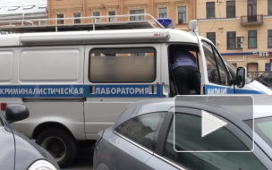 В Купчине охранник заблокировал дверь ювелирного перед носом грабителей в масках