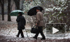 Мокрый снег пришел в Петербург на двое суток