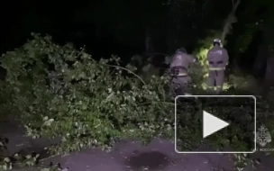 В результате непогоды в Приволжье погибли девять человек